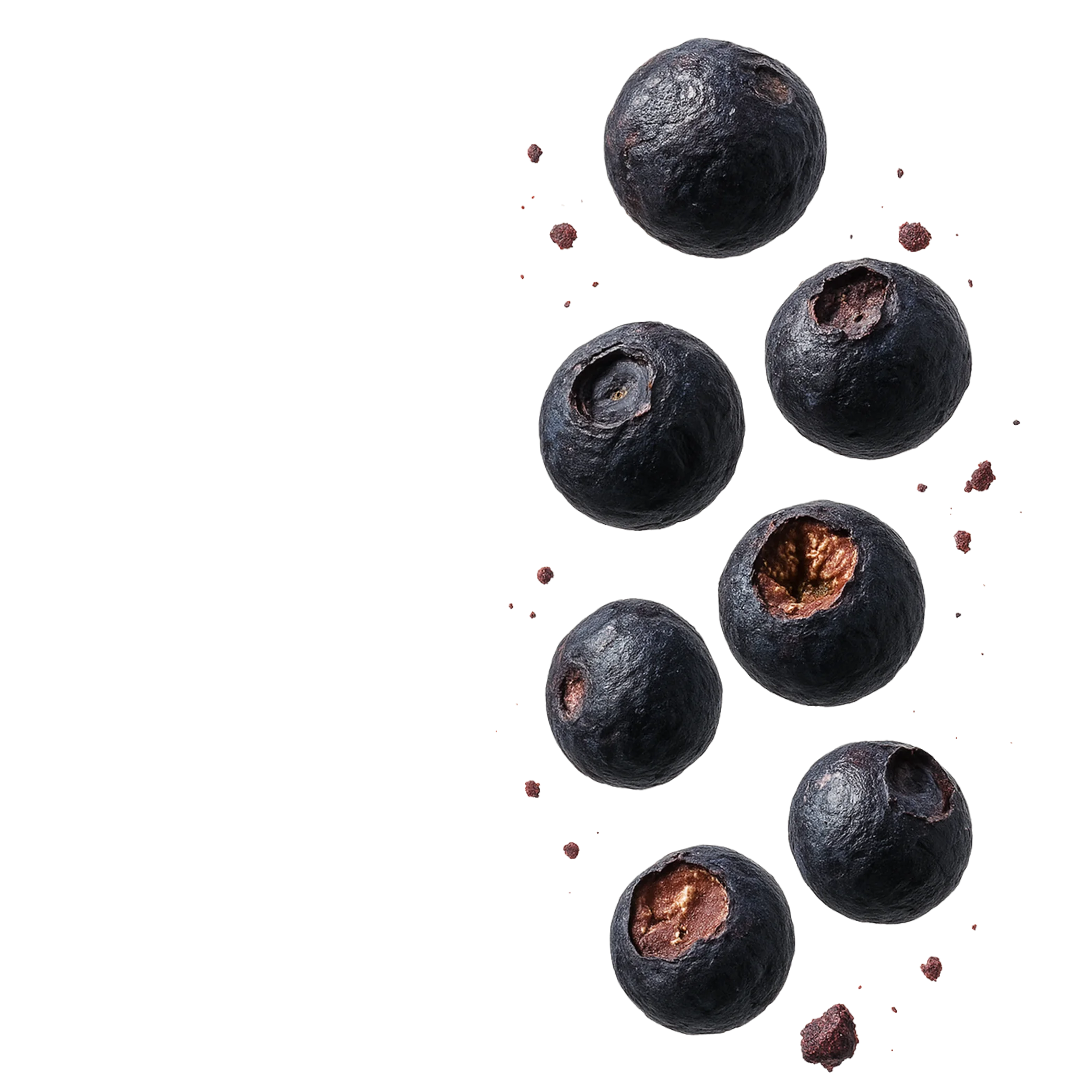 snaacs freeze dried blueberry (2) snaacs freeze dried blueberry (2)